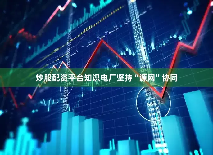 炒股配资平台知识电厂坚持“源网”协同