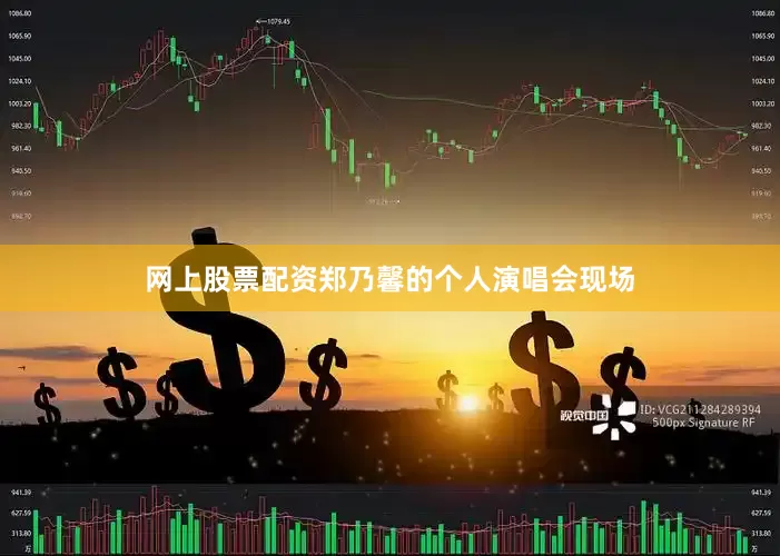 网上股票配资郑乃馨的个人演唱会现场