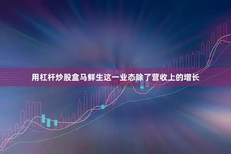 用杠杆炒股盒马鲜生这一业态除了营收上的增长