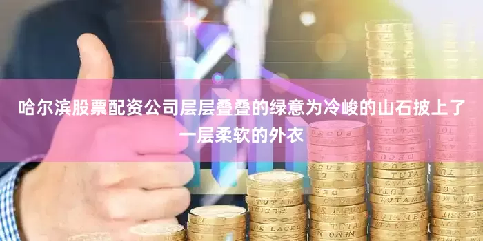 哈尔滨股票配资公司层层叠叠的绿意为冷峻的山石披上了一层柔软的外衣